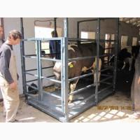 Весы для животных, КРС, свиней, коров 600, 1500, 3000 кг, новые