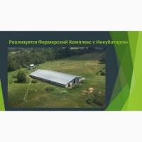 Ферма Потіївка Продам (ТОРГУЄМОСЯ)
