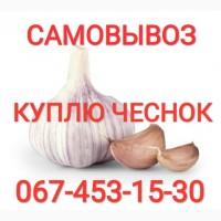 Куплю чеснок приезжаем сами