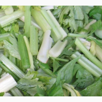 Овочерізка STvega Belt Cutter Combo для нарізки овочів, фруктів та зелені