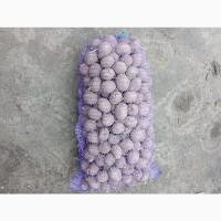 Продам картоплю