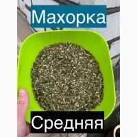 Продам тютюн самосад махорка