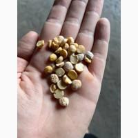 Нут половинки продам