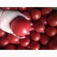 Продам розовый помидор 27 грн