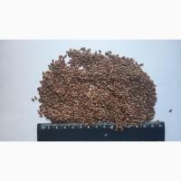 Льон 150 тонн. Хмельницька обл