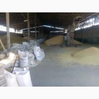 1000 га на заході Харківської обл