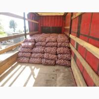 Продам картоплю
