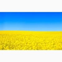 Продам завод по переработке рапса, подсолнечника