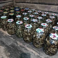 Опята в банках