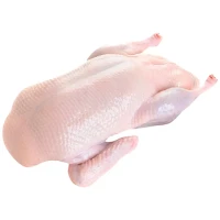 Куплю утку ( тушка )