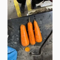 Продам моркву