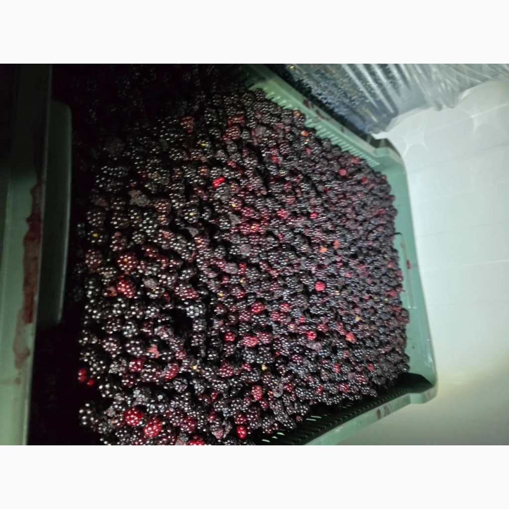Фото 4. Продам морожену ягоду