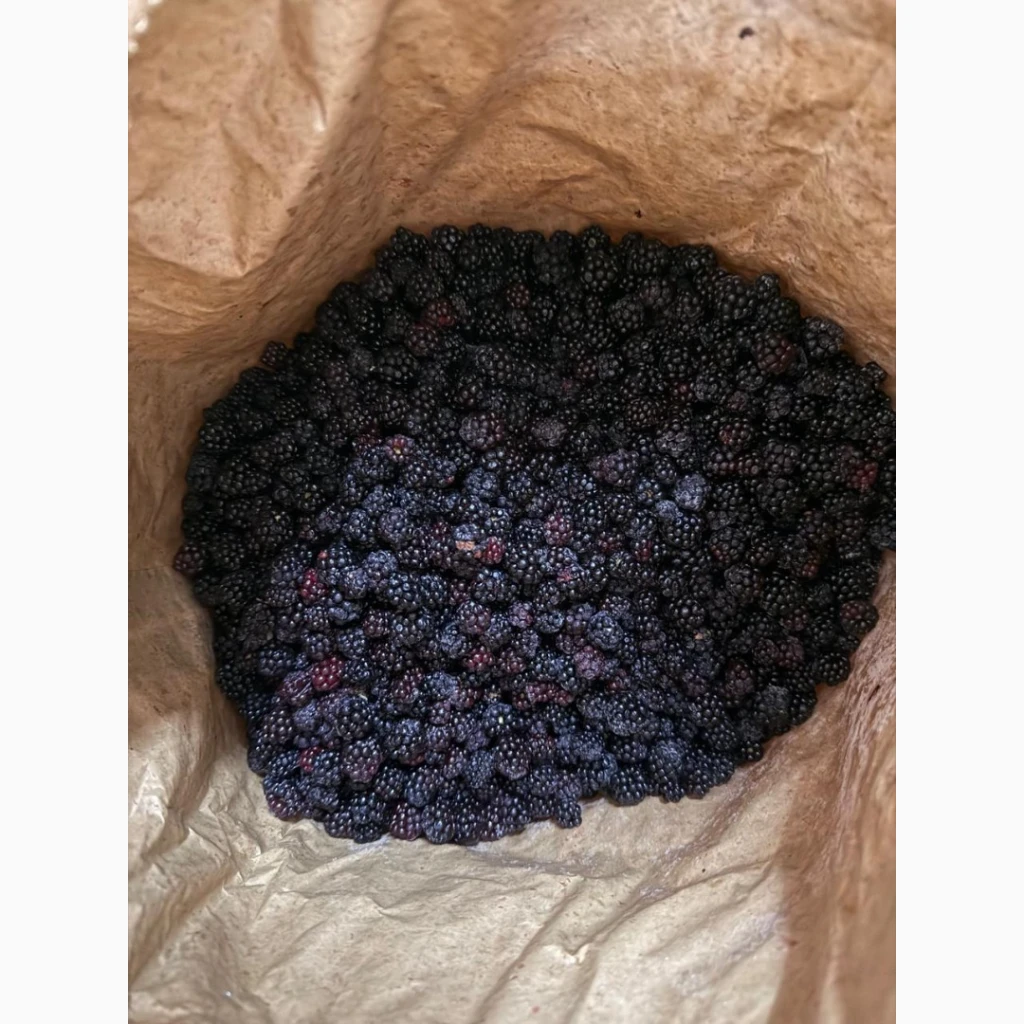 Фото 5. Продам морожену ягоду