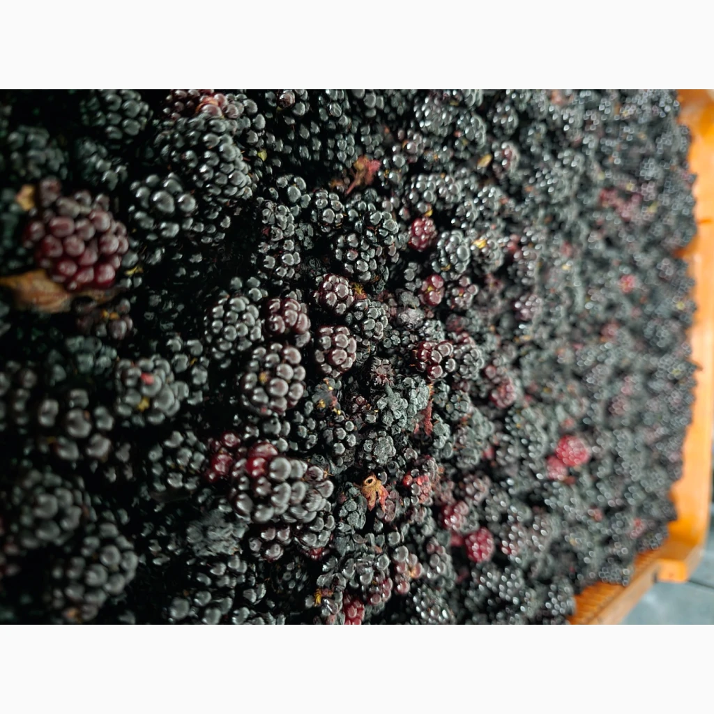 Фото 6. Продам морожену ягоду