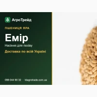 Купити нвсіння яр0ї пшениці Емір