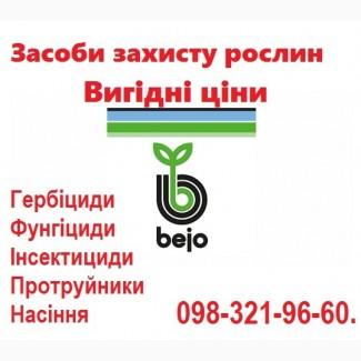 Продам фирменные качественные семена овощей - недорого, Bejo, Vilmorin, Никерсон цваан