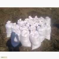 Грунт Чернозем в мешках Киевская область Конча заспа Чернозем Киев