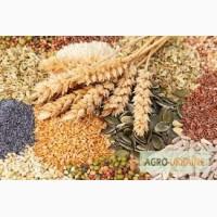 Продам фасованные крупы оптом и в розницу