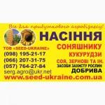 Пропоную купити насіння кукурудзи