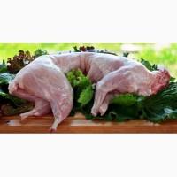 Куплю мясо кроля в любых обьемах