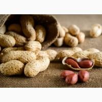 Продам семена Арахис Культурный (Земляной орех)