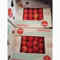 Продам яблука різних сортів
