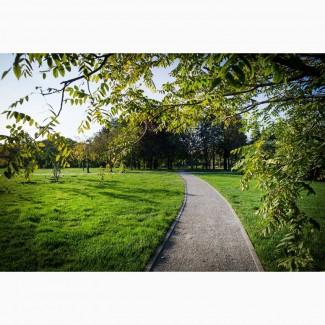 Краща_Tpaвосyміш _для благоyстрою парків.Стійка до витоптyвання