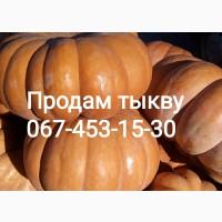 Продам тыкву гарбуз сорт ромашка