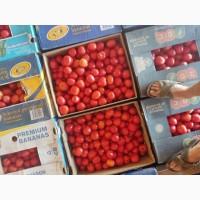 Продам помідори є велика кількість