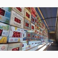 Продам помідори є велика кількість