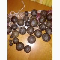 Прополис