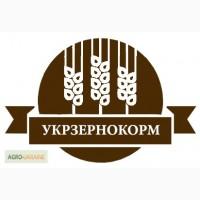 Купим горох зелений