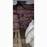 Продам картоплю. Дзвонити Юра Q975816442