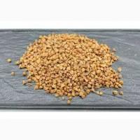Зерно гречки - прямі поставки, від 5 тонн
