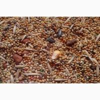 Постійно купуємо зерновідходи та некондиційну агропродукцію