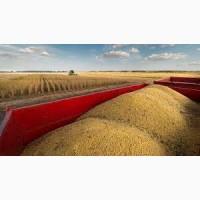 Куплю СОЮ Дорого Вся Украина