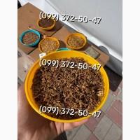 Якісний, ароматний тютюн без палок, пилу Кемел, Вінстон, Руно, Ксанті, Вірджинія, Дюбек