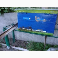 Куплю бджолопакет або відводок терміново (Запорізька обл.)