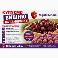 Куплю вишню