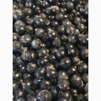 Продам ОПТОМ заморожену смородину