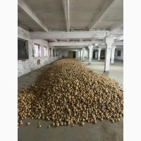Продам картоплю власного врожаю.Коломбо (HZPC)