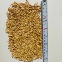 Продам овес