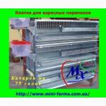 Перепелиные клетки для дома