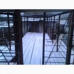 Продам прицеп для пчёл