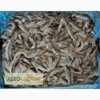 Продам азовского бычка в ассортименте (мороженый) г. Бердянск