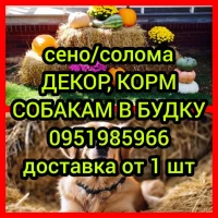 Сено солома на Хэллоуин в тюках мешках с доставкой на адрес. Отборное. В наличии