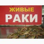 Продам живую рыбу малька а таже живые раки