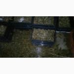 Продам живую рыбу малька а таже живые раки