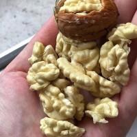 Продам ядро грецкого ореха
