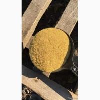 Пропонуємо портії зерна на умовах FCA або DDP///We offer grain portions on FCA or DDP term